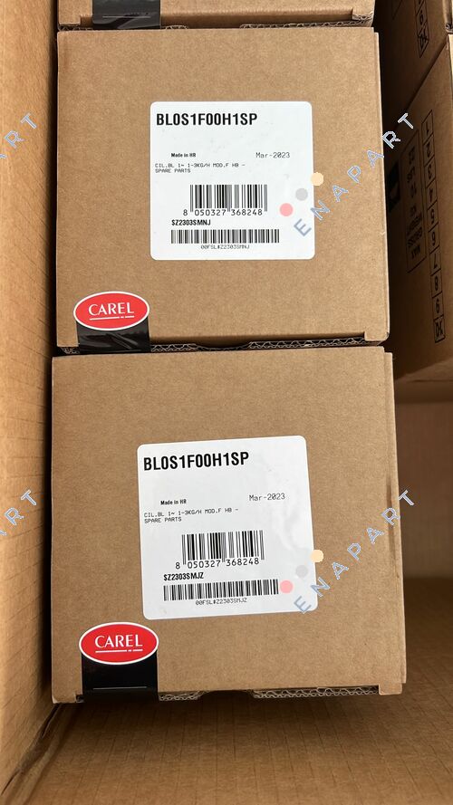 BL0S1F00H1SP цилиндър