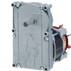 Capacitor motors