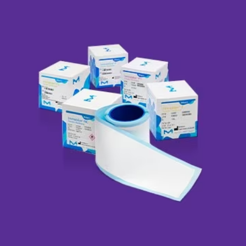 ISEQ08100