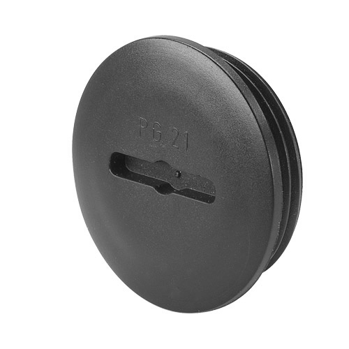 010TPG21