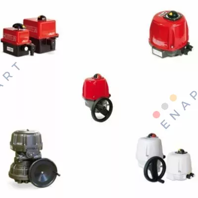 ER20  